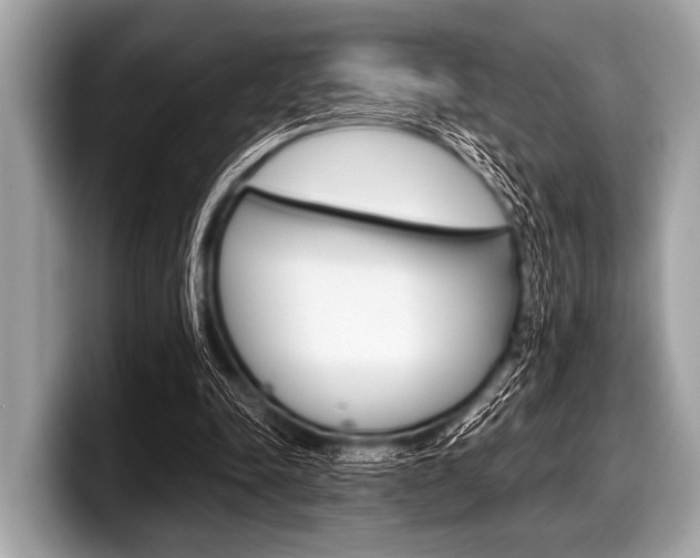 X0000099230342200804241234