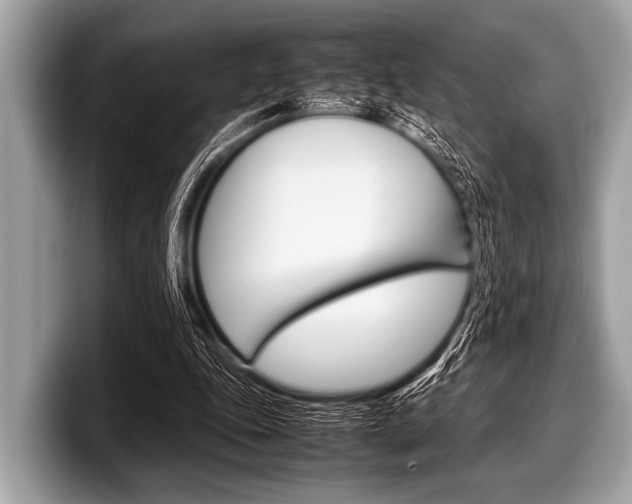 X0000099230343200804241234