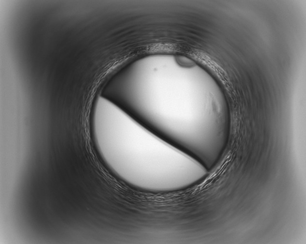 X0000099230345200804241234
