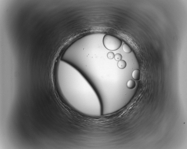 X0000099230346200804241234