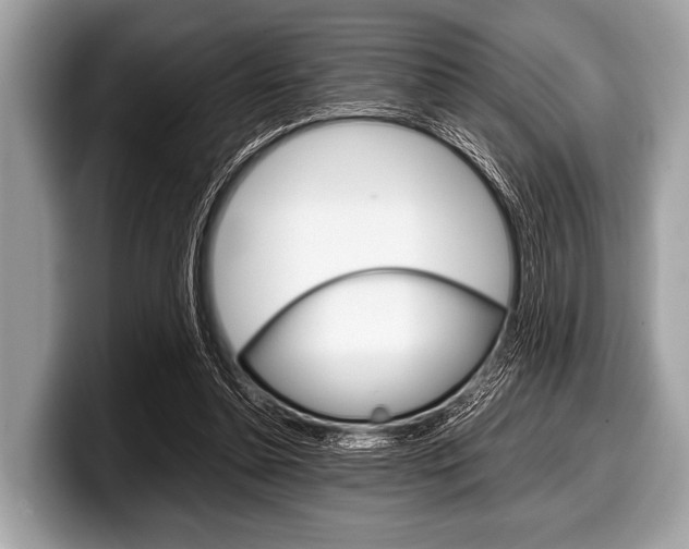 X0000099230348200804241234