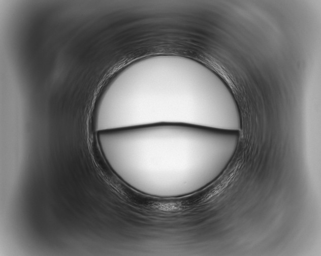X0000099230349200804241234