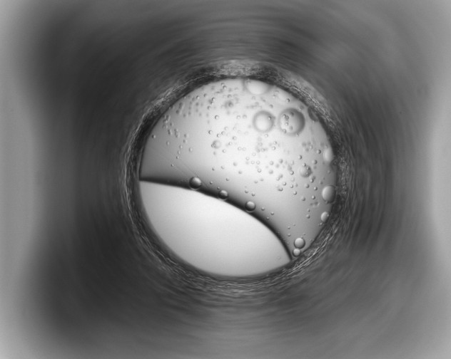 X0000099230354200804241234