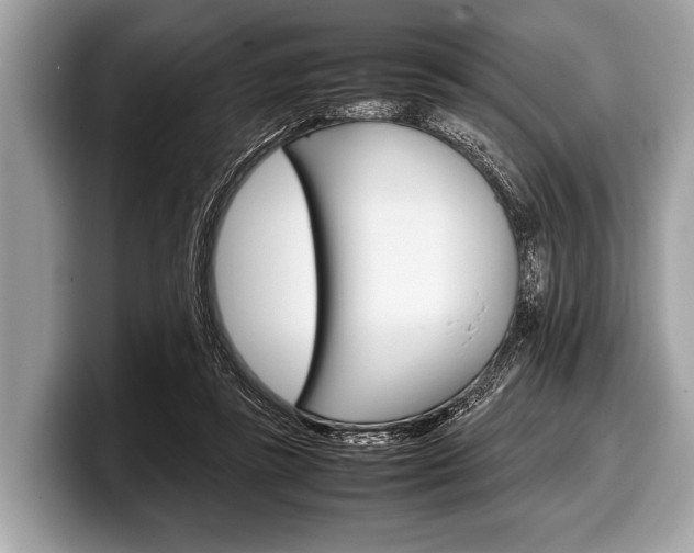 X0000099230355200804241234