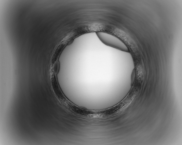 X0000099230356200804241234