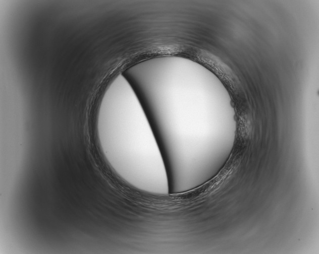 X0000099230358200804241234