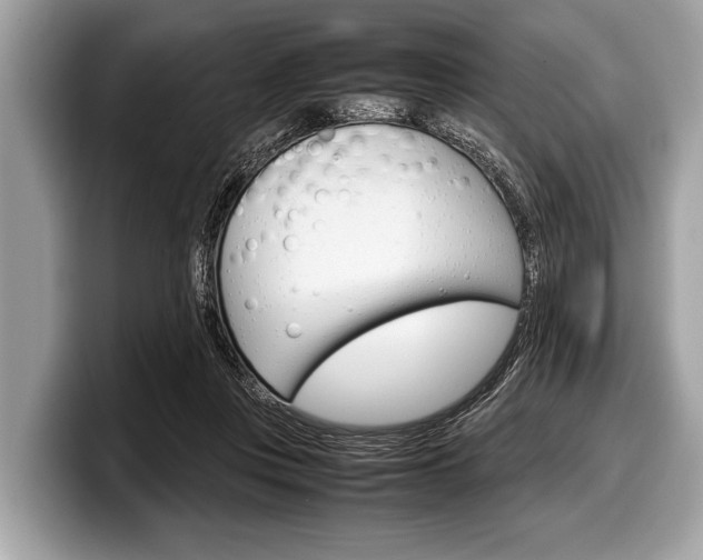 X0000099230359200804241234
