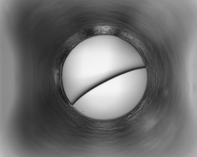 X0000099230361200804241234