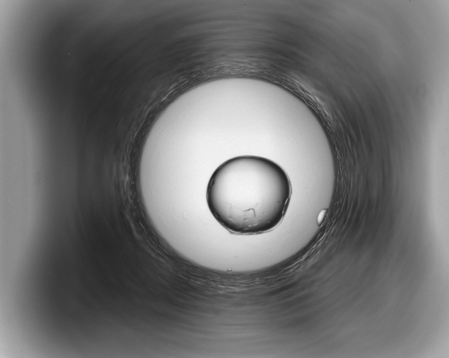 X0000099230362200804241234