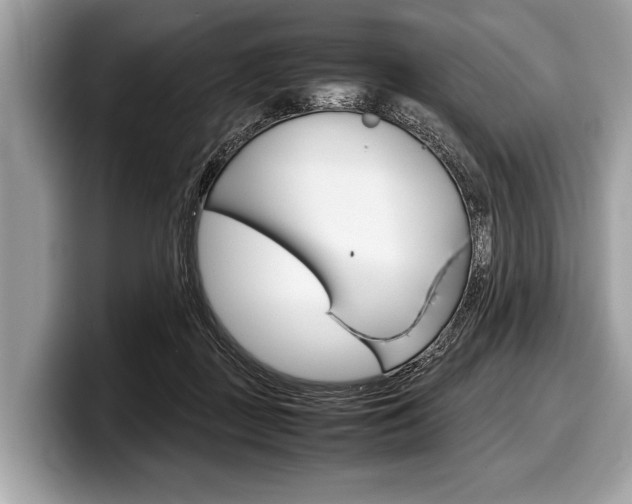 X0000099230363200804241234