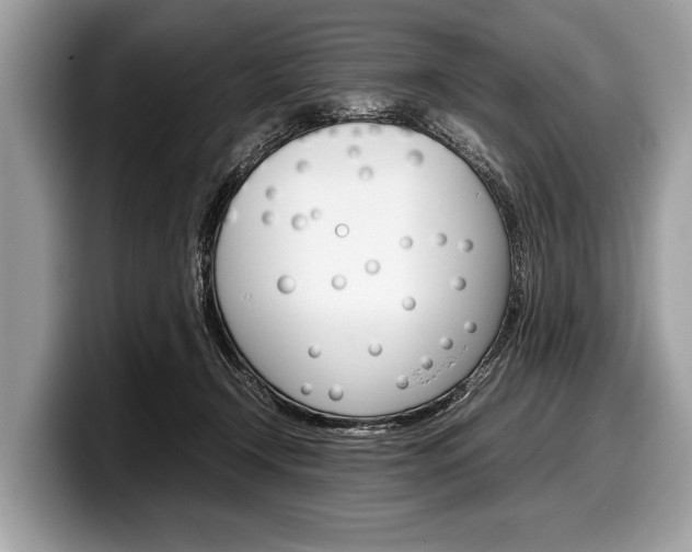 X0000099230366200804241234