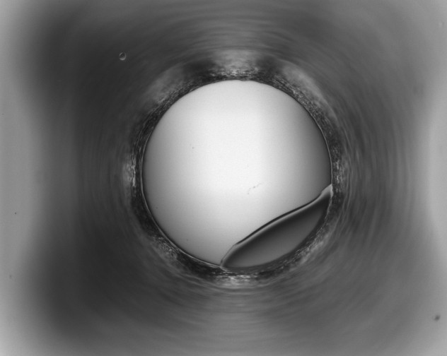 X0000099230368200804241234
