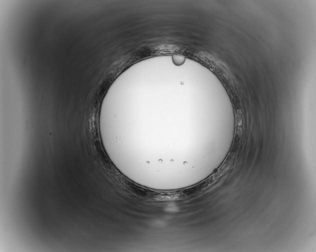 X0000099230369200804241234