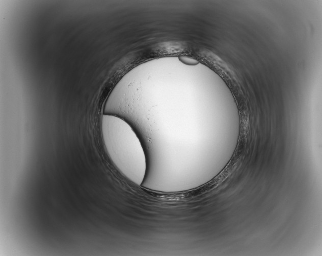 X0000099230373200804241234