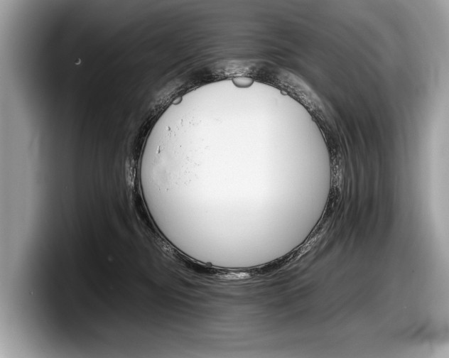 X0000099230374200804241234