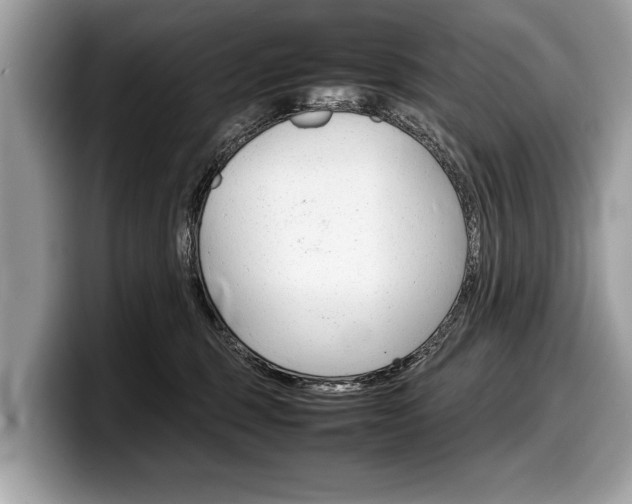 X0000099230375200804241234