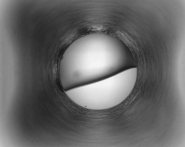 X0000099230376200804241234