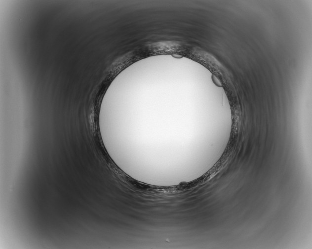 X0000099230377200804241234