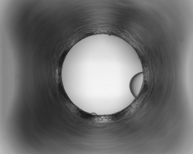 X0000099230378200804241234