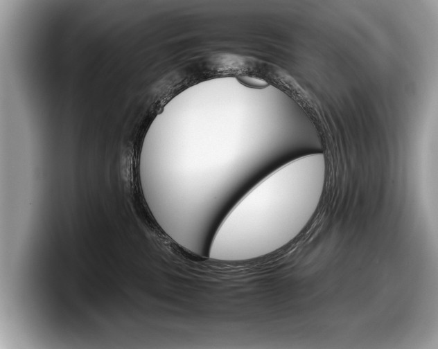 X0000099230379200804241234