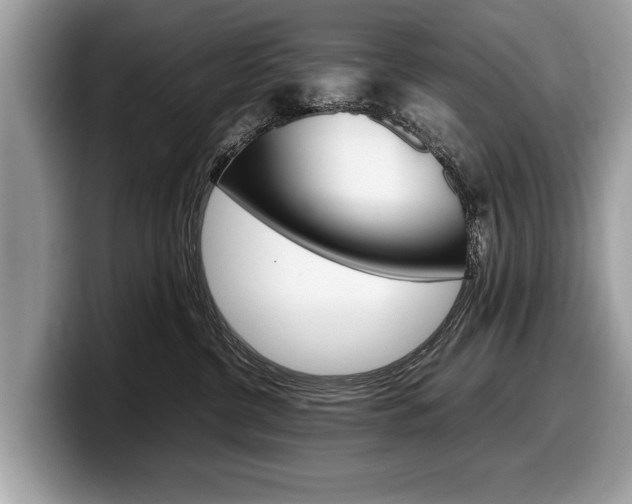 X0000099230380200804241234