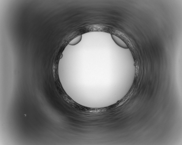 X0000099230381200804241234