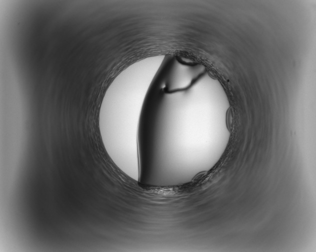 X0000099230384200804241234
