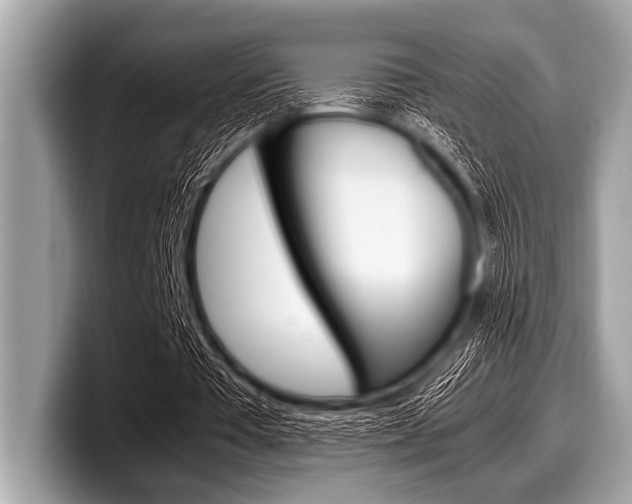 X0000099230385200804241234