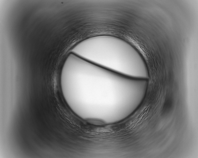 X0000099230386200804241234