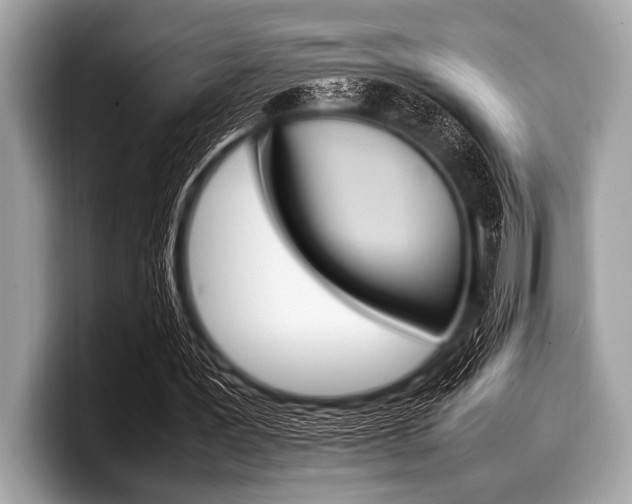 X0000099230387200804241233