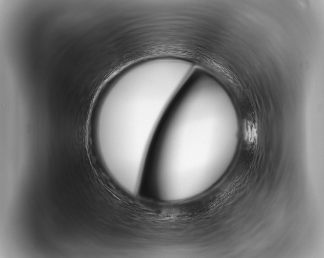 X0000099230388200804241233