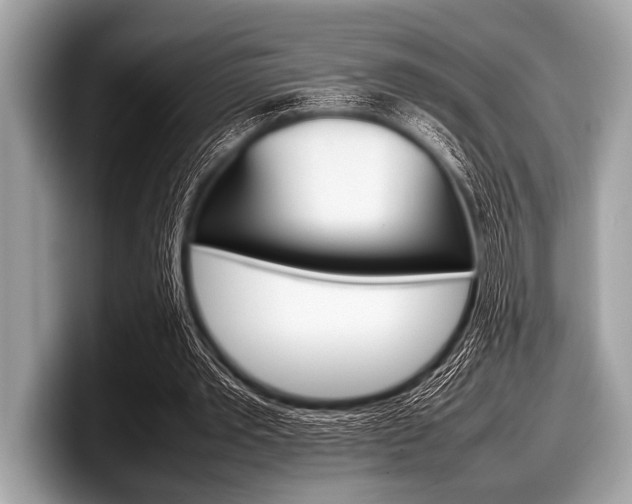X0000099230389200804241233
