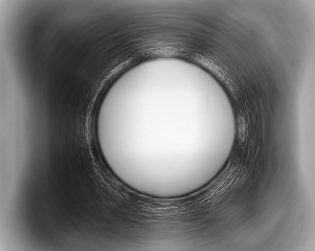 X0000099230390200804241233