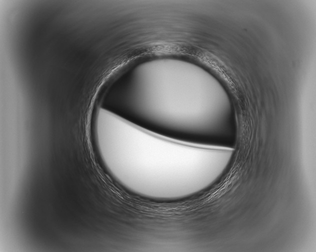 X0000099230391200804241233