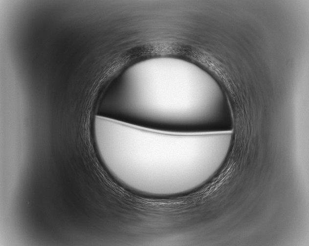 X0000099230393200804241233