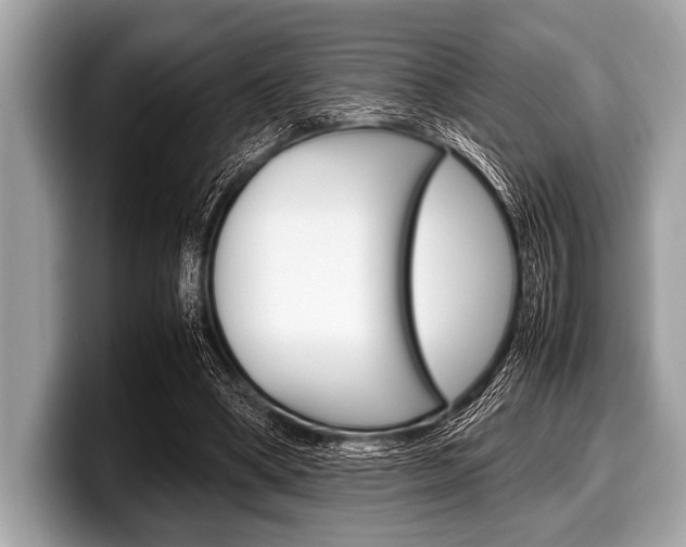 X0000099230394200804241233