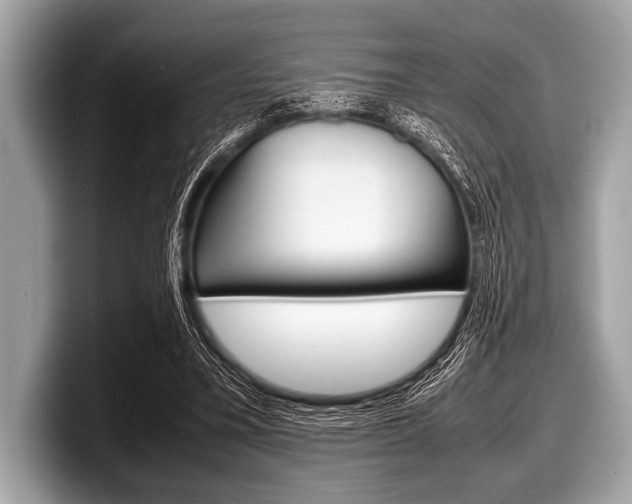 X0000099230395200804241233