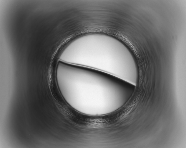 X0000099230396200804241233