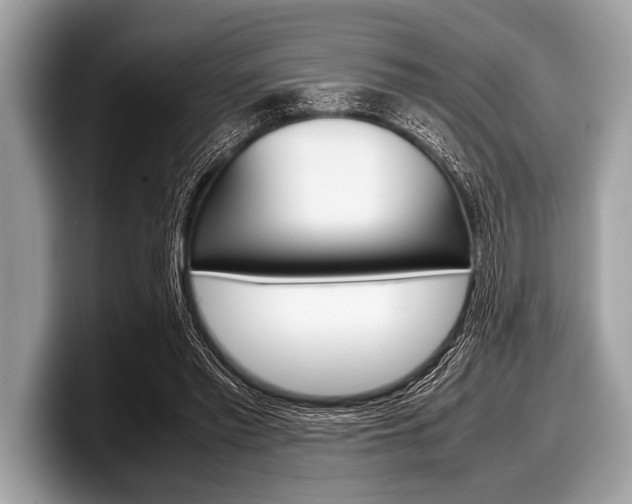 X0000099230397200804241233