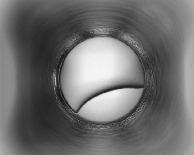 X0000099230398200804241233
