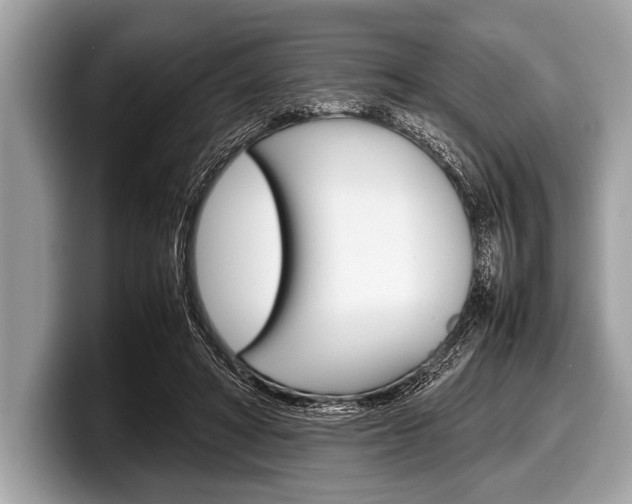 X0000099230402200804241233