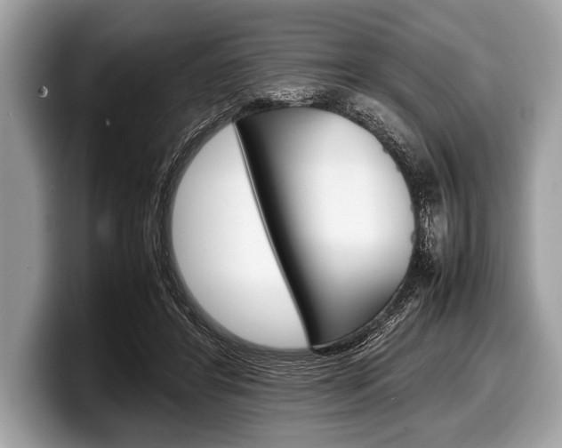 X0000099230404200804241233
