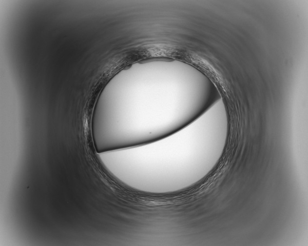 X0000099230405200804241233