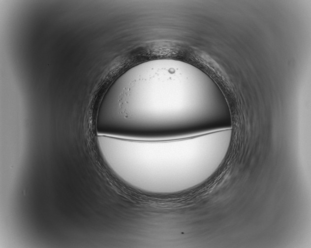 X0000099230407200804241233