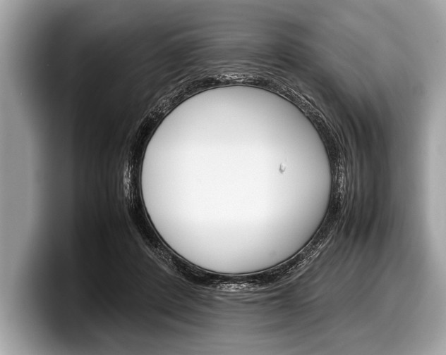 X0000099230408200804241233