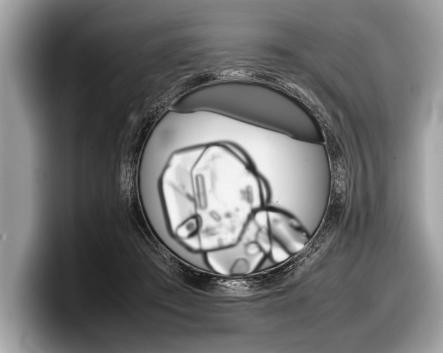 X0000099230409200804241233