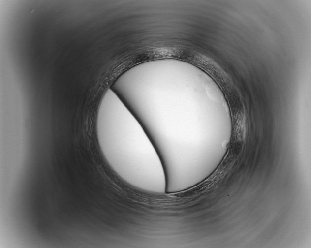 X0000099230410200804241233