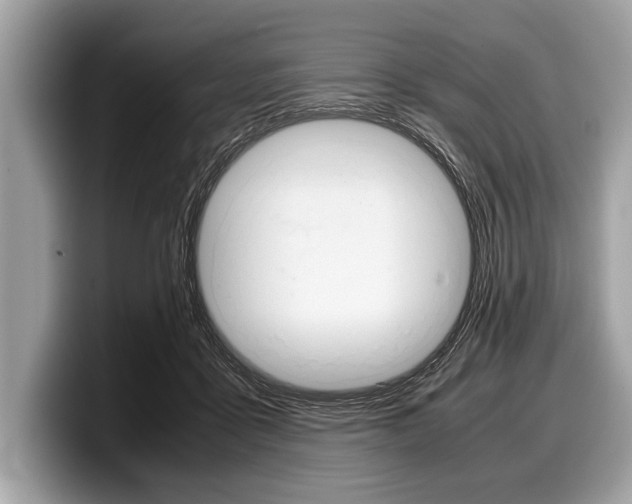 X0000099230411200804241233