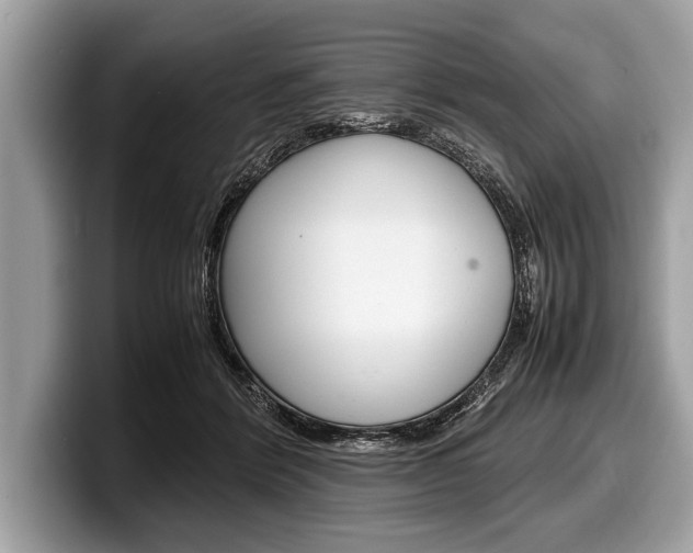 X0000099230412200804241233