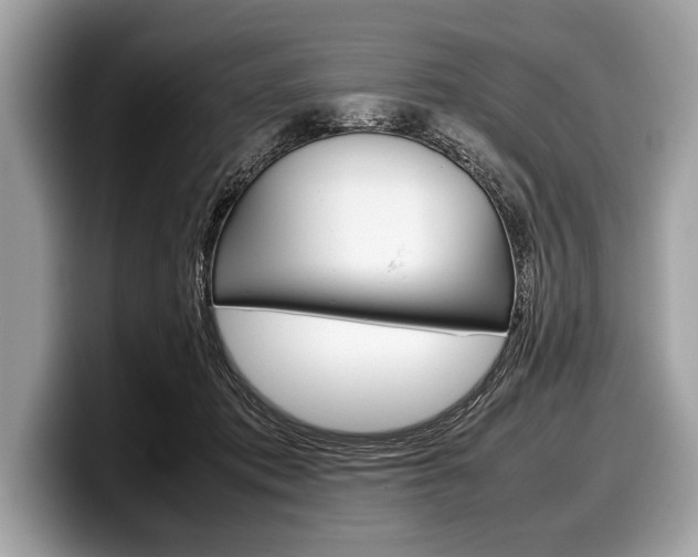 X0000099230413200804241233